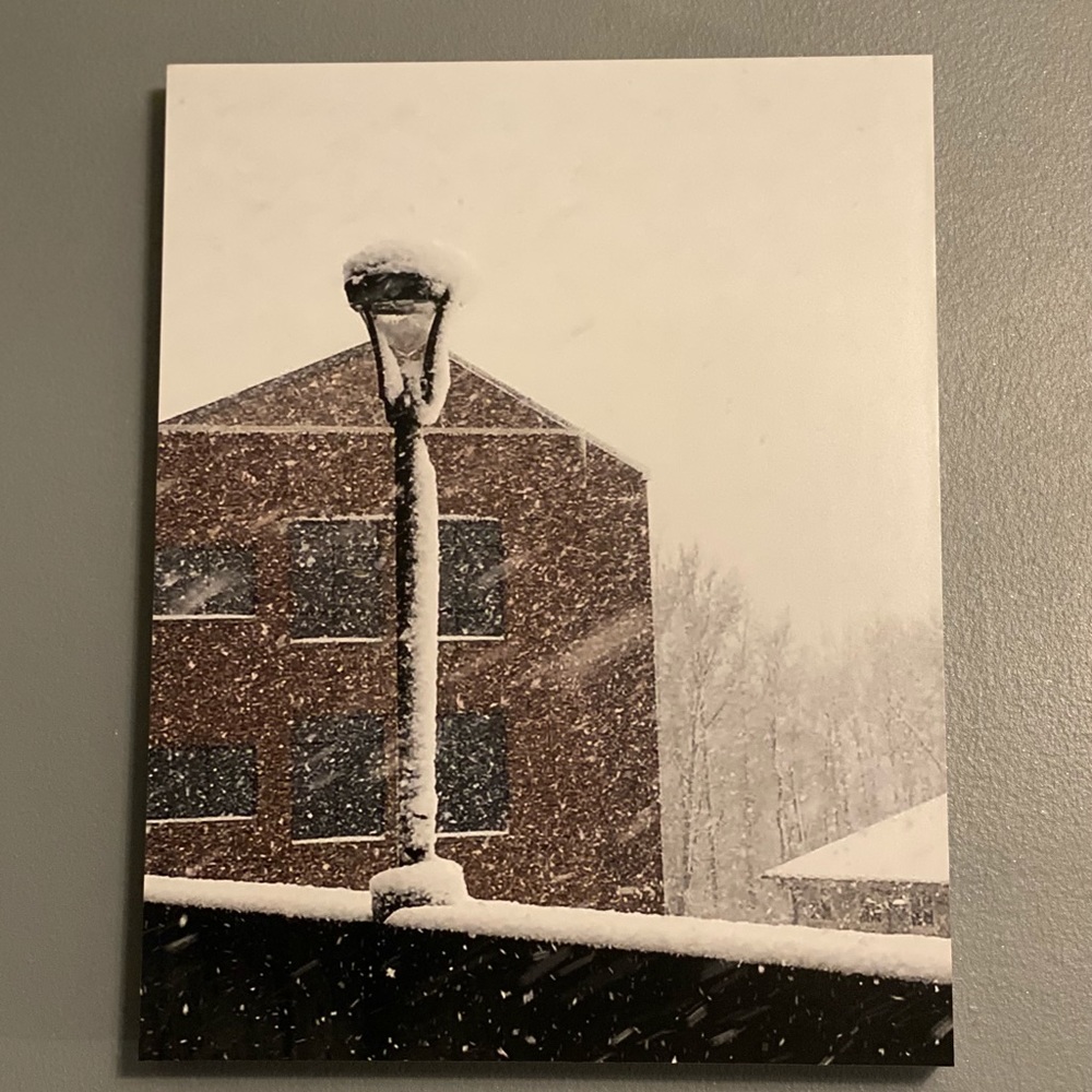 11 x 14 Winter Storm photograph by Ashley Miles